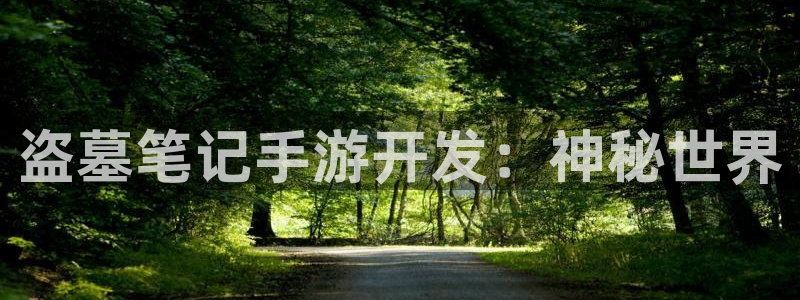 恒盛娱乐首页：盗墓笔记手游开发：神秘世界