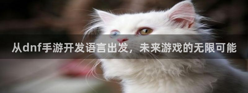 恒盛娱乐平台：从dnf手游开发语言出发，未来游戏的无限可能