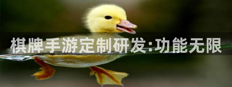 恒盛娱乐首页：棋牌手游定制研发:功能无限