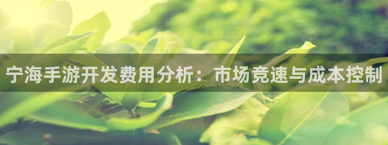 恒盛娱乐app：宁海手游开发费用分析：市场竞速与成本控制