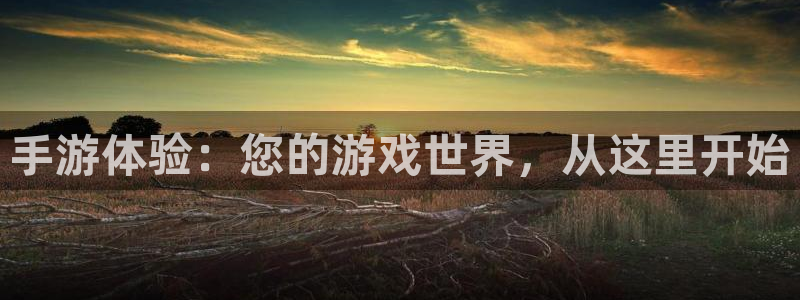 恒盛娱乐登陆：手游体验：您的游戏世界，从这里开始