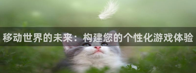 恒盛娱乐平台：移动世界的未来：构建您的个性化游戏体验