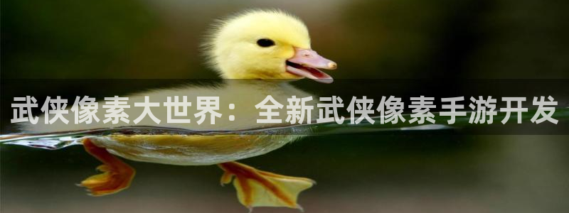 恒盛娱乐app：武侠像素大世界：全新武侠像素手游开发