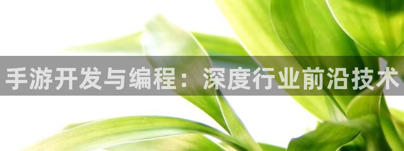 恒盛娱乐首页：手游开发与编程：深度行业前沿技术