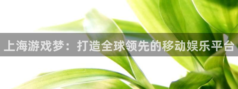 恒盛娱乐登录：上海游戏梦：打造全球领先的移动娱乐平台