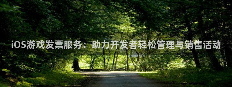 恒盛娱乐app：iOS游戏发票服务：助力开发者轻松管理与销售