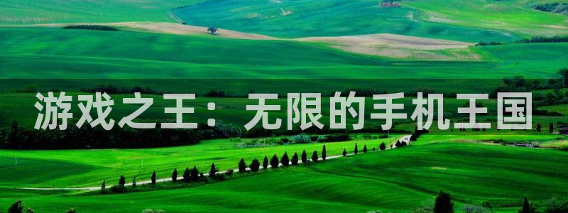 恒盛娱乐app：游戏之王：无限的手机王国