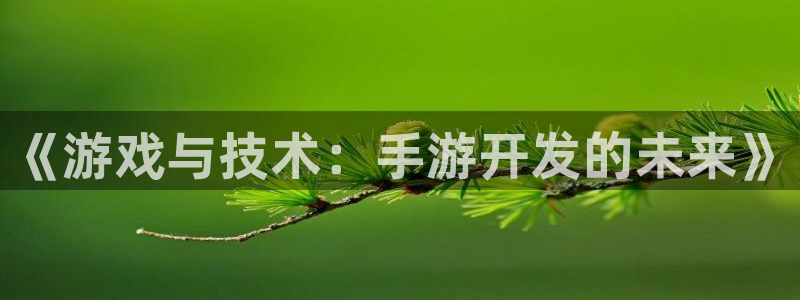 恒盛娱乐登录：《游戏与技术：手游开发的未来》