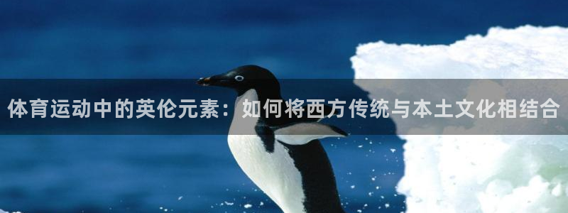 中欧体育在线