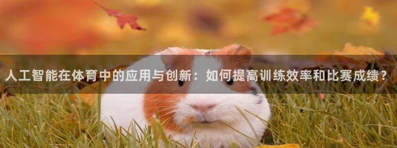 中欧体育kok官网首页