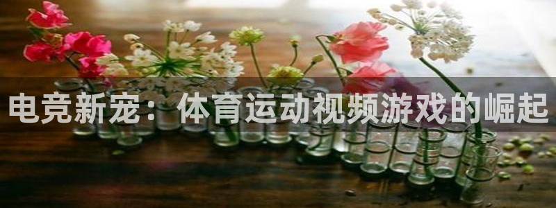 中欧体育李勇鸿