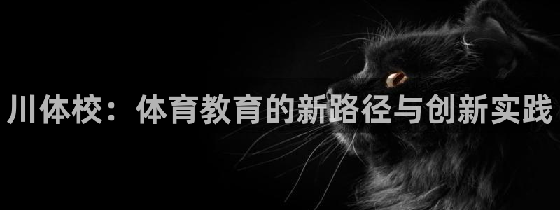 中欧体育在线