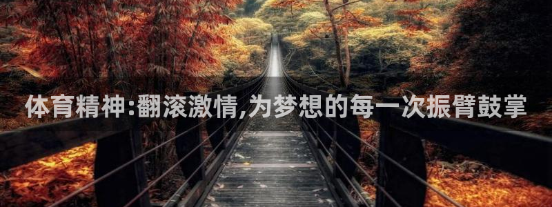 zoty中欧体育