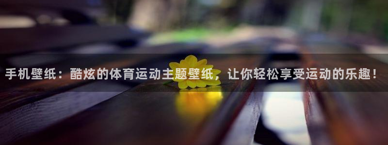 中欧体育网址