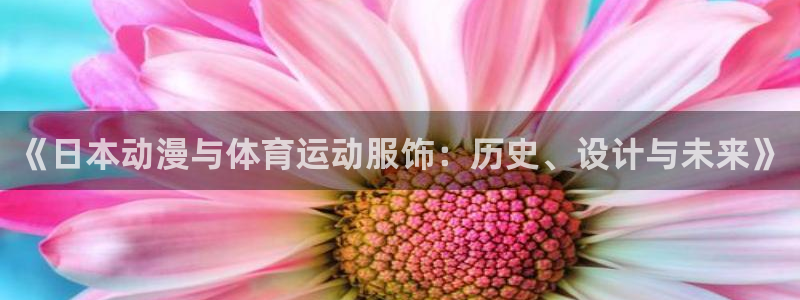 中欧体育zoty下载