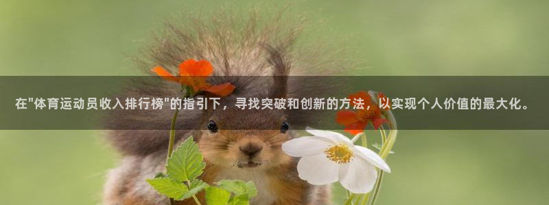 中欧体育下载